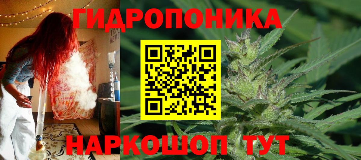 МАРИХУАНА сатива Майкоп